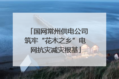国网常州供电公司筑牢“花木之乡”电网抗灾减灾根基