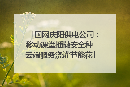 国网庆阳供电公司：移动课堂播撒安全种 云端服务浇灌节能花