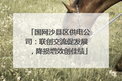 国网沙县区供电公司：联创交流促发展，降损增效创佳绩