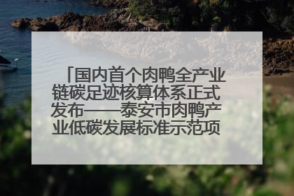 国内首个肉鸭全产业链碳足迹核算体系正式发布——泰安市肉鸭产业低碳发展标准示范项目顺利通过验收