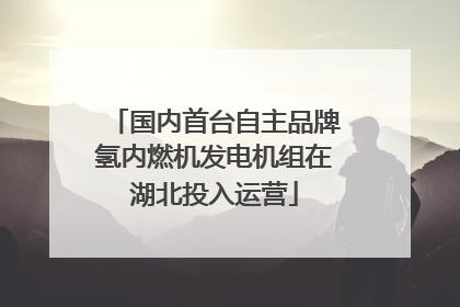 国内首台自主品牌氢内燃机发电机组在湖北投入运营