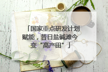 国家重点研发计划赋能，昔日盐碱滩今变“高产田”