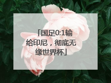 国足0:1输给印尼，彻底无缘世界杯