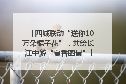 四城联动“送你10万朵栀子花”，共绘长江中游“夏香图景”