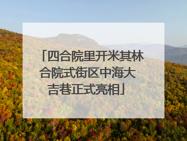 四合院里开米其林 合院式街区中海大吉巷正式亮相