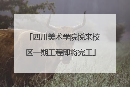 四川美术学院悦来校区一期工程即将完工