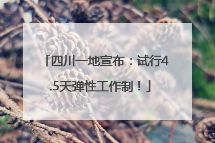 四川一地宣布：试行4.5天弹性工作制！