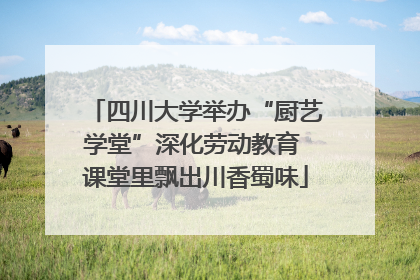 四川大学举办“厨艺学堂”深化劳动教育 课堂里飘出川香蜀味