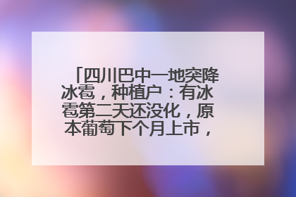 四川巴中一地突降冰雹,种植户:有冰雹第二天还没化,原本葡萄下个月上市,现在全被打落