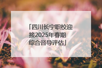 四川长宁职校迎接2025年春期综合督导评估