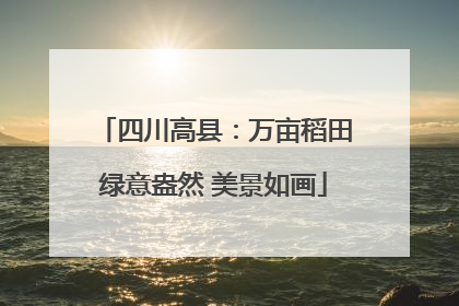 四川高县：万亩稻田绿意盎然 美景如画