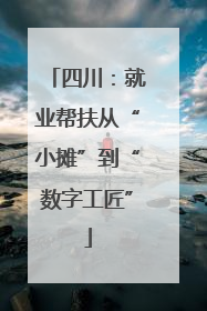 四川：就业帮扶从“小摊”到“数字工匠”