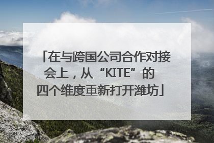 在与跨国公司合作对接会上，从“KITE”的四个维度重新打开潍坊