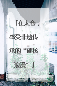 在太仓，感受非遗传承的“硬核浪漫”