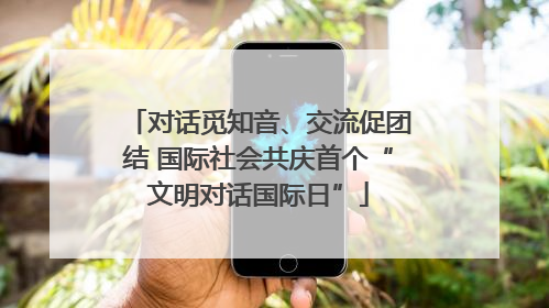 对话觅知音、交流促团结 国际社会共庆首个“文明对话国际日”