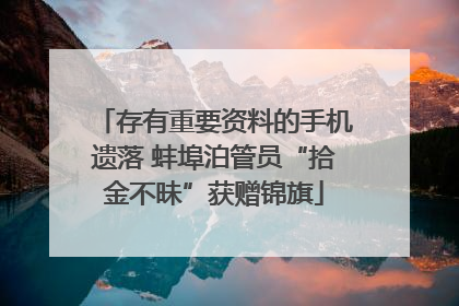 存有重要资料的手机遗落 蚌埠泊管员“拾金不昧”获赠锦旗