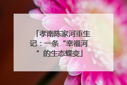 孝南陈家河重生记：一条“幸福河”的生态蝶变