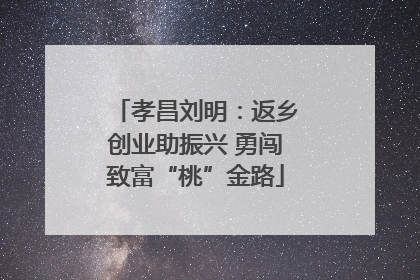 孝昌刘明：返乡创业助振兴 勇闯致富“桃”金路