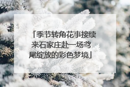 季节转角花事接续 来石家庄赴一场鸢尾绽放的彩色梦境