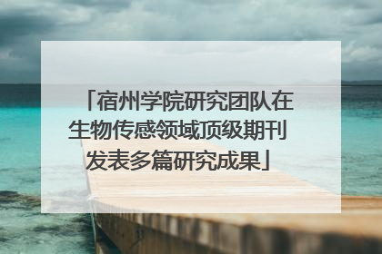 宿州学院研究团队在生物传感领域顶级期刊发表多篇研究成果