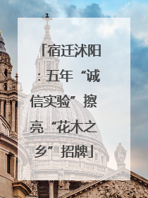 宿迁沭阳：五年“诚信实验”擦亮“花木之乡”招牌