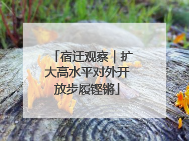 宿迁观察｜扩大高水平对外开放步履铿锵