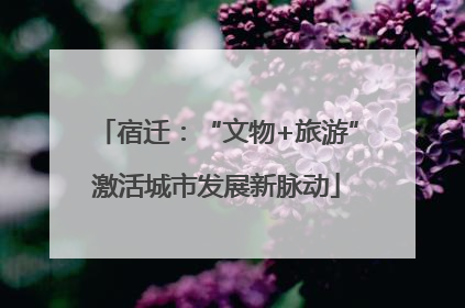 宿迁：“文物+旅游”激活城市发展新脉动