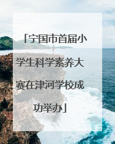 宁国市首届小学生科学素养大赛在津河学校成功举办