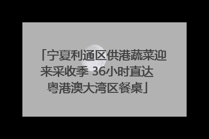 宁夏利通区供港蔬菜迎来采收季 36小时直达粤港澳大湾区餐桌