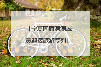 宁夏固原满满诚意迎接旅游专列