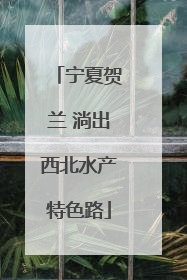 宁夏贺兰 淌出西北水产特色路