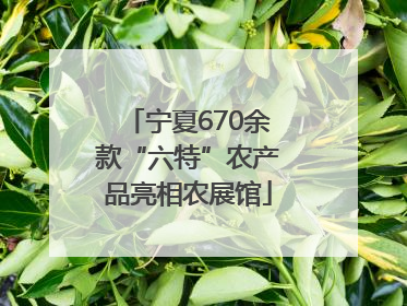 宁夏670余款“六特”农产品亮相农展馆