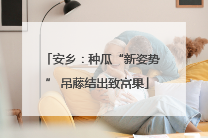 安乡：种瓜“新姿势” 吊藤结出致富果