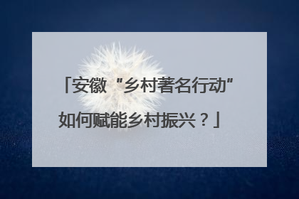 安徽“乡村著名行动”如何赋能乡村振兴？