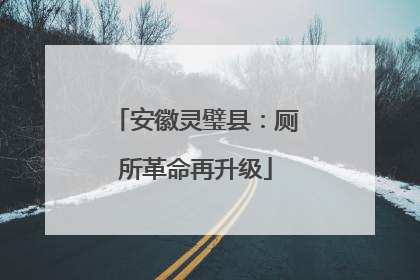 安徽灵璧县：厕所革命再升级