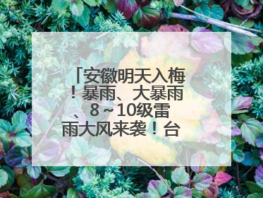 安徽明天入梅！暴雨、大暴雨、8～10级雷雨大风来袭！台风也有消息了