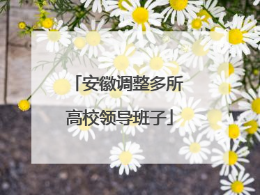 安徽调整多所高校领导班子