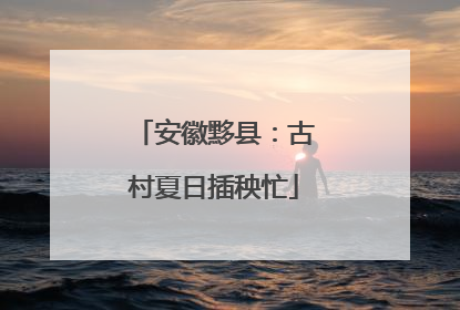 安徽黟县：古村夏日插秧忙
