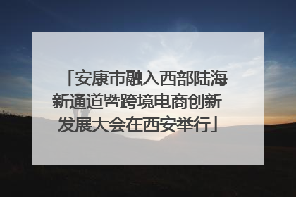 安康市融入西部陆海新通道暨跨境电商创新发展大会在西安举行