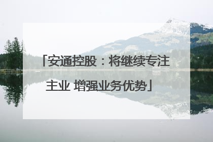 安通控股：将继续专注主业 增强业务优势