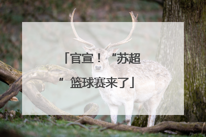 官宣！“苏超”篮球赛来了