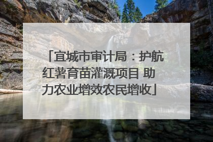 宜城市审计局：护航红薯育苗灌溉项目 助力农业增效农民增收