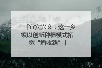 宜宾兴文：这一乡镇以创新种植模式拓宽“增收路”