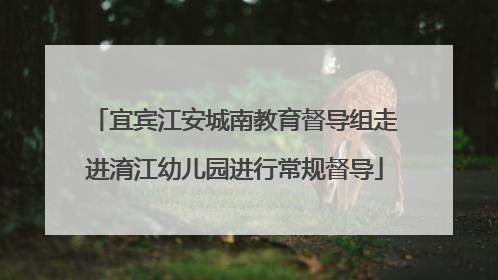 宜宾江安城南教育督导组走进淯江幼儿园进行常规督导