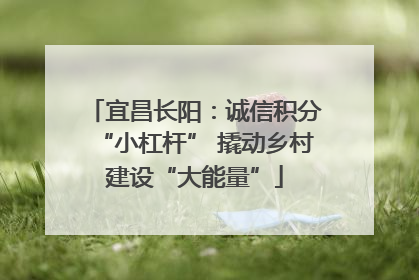 宜昌长阳：诚信积分“小杠杆” 撬动乡村建设“大能量”