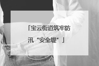 宝云街道筑牢防汛“安全堤”