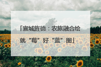 宣城旌德：农旅融合绘就“莓”好“蓝”图