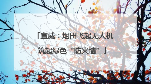宣威：烟田飞起无人机 筑起绿色“防火墙”