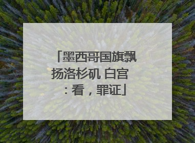 墨西哥国旗飘扬洛杉矶 白宫：看，罪证