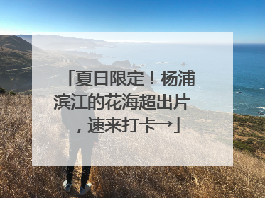 夏日限定！杨浦滨江的花海超出片，速来打卡→